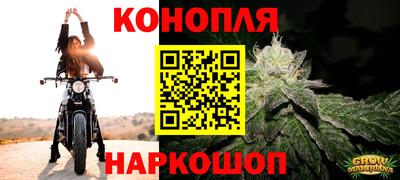эйфоретик Гай