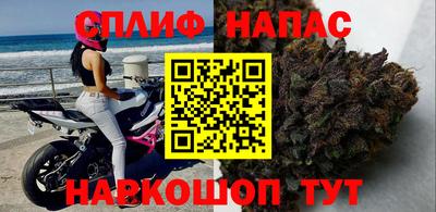эйфоретик Гай