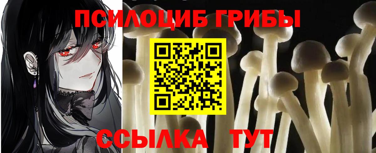 где можно купить   Галлюциногенные грибы Magic Shrooms  Вход с VPN  Луховицы 