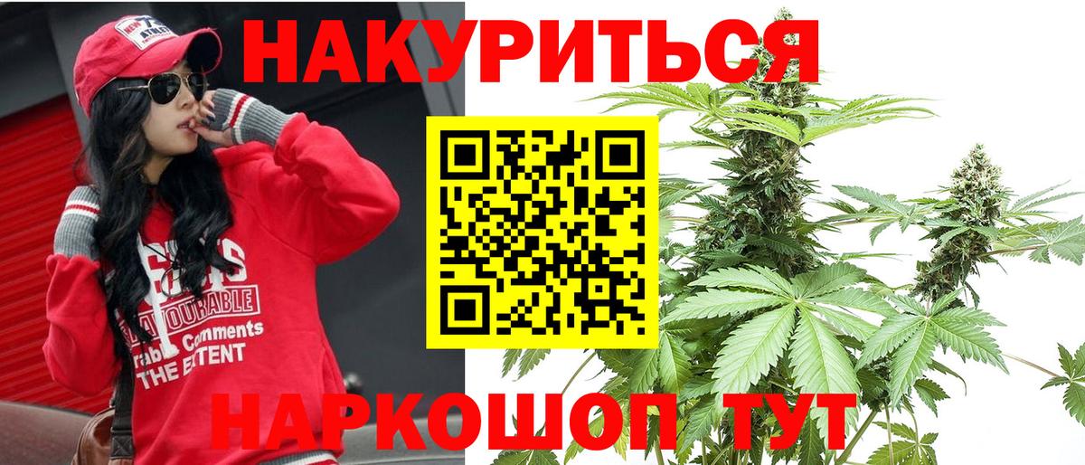 Конопля план Луховицы